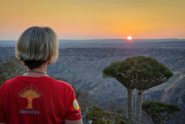 Socotra_2025 (14/76)